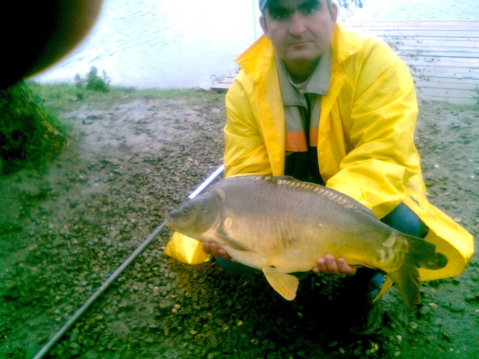 Pleasa 2012 - salonta 5 kg